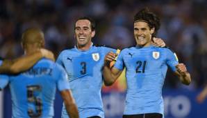 Diego Godin, Edinson Cavani