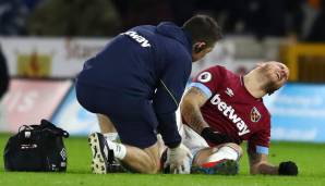 Auf den Hund gekommen ist auch Marko Arnautovic. Beim Herumtoben mit seinem Vierbeiner allerdings meinte es der exzentrische Österreicher in West-Ham-Zeiten zu gut und riss sich das Innenband im Knie.