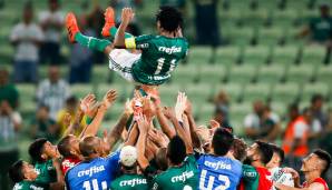 In seinem letzten Profispiel am 28.11.2017 gewinnt er mit Palmeiras 2:0 gegen Botafogo und wird von den Kollegen gebührend gefeiert