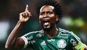 Ze Roberto, Bayern München, Leverkusen, HSV, Hamburg, Brasilien