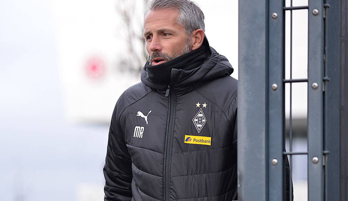 Marco Rose gilt als Wunschkandidat für das Traineramt beim BVB.