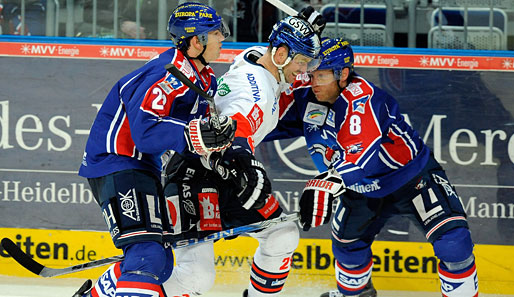 Die Adler Mannheim wollen den Meister aus Berlin gehörig in die Mangel nehmen