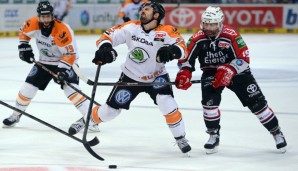 Robert Collins (r.) steht mit den Kölner Haien zum zweiten Mal in Folge im Finale