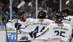 Die Straubing Tigers haben mittlerweile 5 neue für die kommende Saison verpflichtet