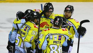 Die Pinguine dürfen sich über einen neuen Mitspieler freuen