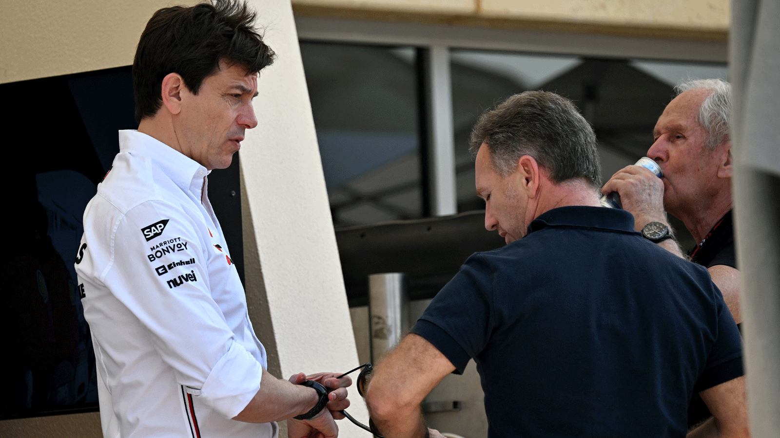 Toto Wolff, Christian Horner