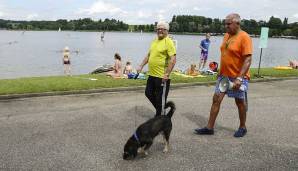 Es folgte der Absturz: 2010 wurde Lorants Haus in Dorfen zwangsversteigert, 2011 gastierte er in der Trash-Sendung "Die Alm". Mittlerweile lebt er auf einem Camping-Platz in Oberbayern am Waginger See - gemeinsam mit dem Ex-Profi Dieter Eckstein.