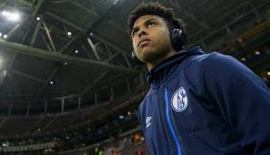 Während die Knappen jedoch bislang trotz großer Ankündigungen noch gar nicht auf dem Markt tätig geworden sind, droht nun nach Naldo der nächste Abgang. Liverpool soll einem "Sun"-Bericht zufolge seine Fühler nach Weston McKennie ausgestreckt haben.