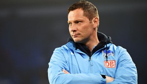 Pal Dardei hat diese Saison das Traineramt bei Hertha BSC übernommen