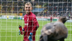 Hradecky ist derzeit einer der erfolgreichsten Torwärter der Bundesliga