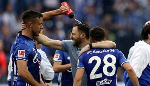 FC Schalke 04 News und Gerüchte: Bleibt oder geht Franco Di Santo?