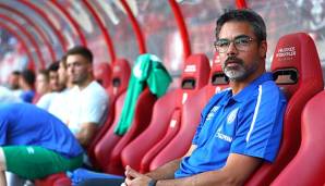 David Wagner ist wohl die wichtigste Verpflichtung von Schalke 04 in diesem Sommer.