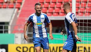 Vedad Ibisevic