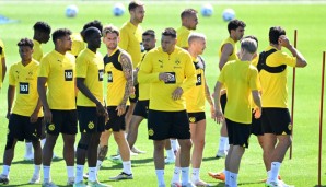 bvb-test