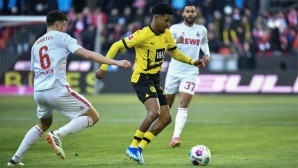 Borussia Dortmund, Bundesliga, 1. FC Köln, Jadon Sancho, Ian Maatsen, Niclas Füllkrug, Gregor Kobel, BVB, Noten, Einzelkritik, Bewertung