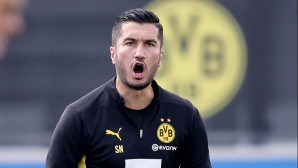 sahin