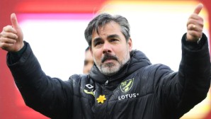 David Wagner Norwich City 2024