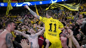 bvb-fans-1600