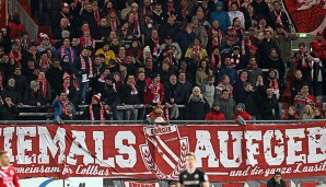 Die Energie-Fans dürfen sich über einen Neuzugang freuen