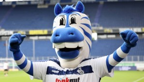 Das MSV-Maskottchen Ennatz möchte heute nach der Partie mal wieder jubeln.