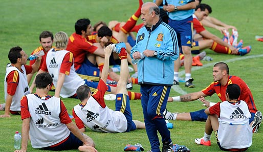 Vicente del Bosque startet mit seinem Team als Titelverteidiger in die EM