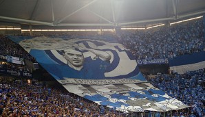 Der S04 will seinen Fans endlich einen Sieg schenken