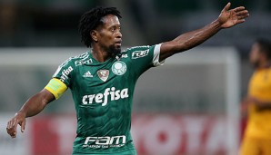 Ze Roberto bleibt dem Fußball ein weiteres Jahr erhalten