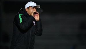 Gernot Rohr trainiert Nigeria