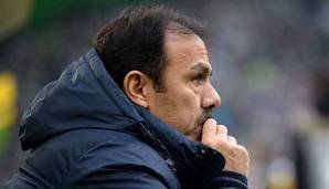 Jos Luhukay wird Teammanager von Sheffield Wednesday