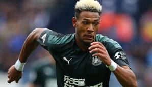 Joelinton wechselte von der TSG Hoffenheim nach Newcastle.