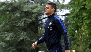 Hatem Ben Arfa schoss in der vergangen Saison 17 Tore