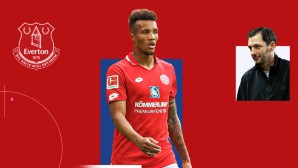 Ligue 1, Frankreich, Jean-Philippe Gbamin, 1. FSV Mainz 05, FC Everton, Absturz, Karriereknick