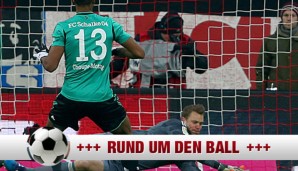 neuer-banner-600