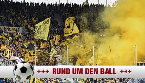 bvb-fans-600