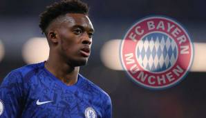 Offenbar wieder das Objekt der Begierde beim FC Bayern München: Chelsea-Youngster Callum Hudson-Odoi.