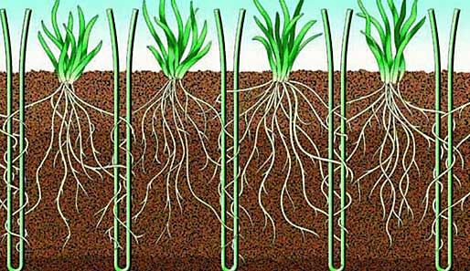 Der Rasen der Zukunft? Bei der WM 2010 wurde das Desso GrassMaster System getestet