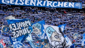 s04-fans-1200