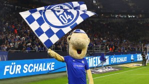 schalke-fahne-1-1600