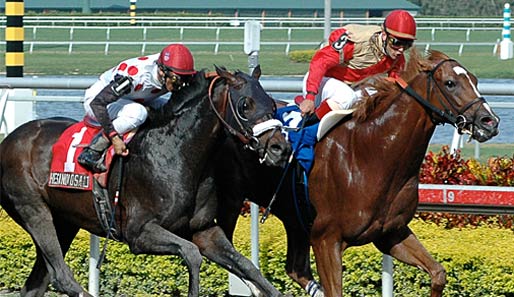 Neun Rennen finden Donnerstag im Gulfstream Park statt