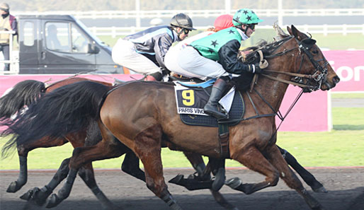 Beim Rennen in Paris-Vincennes ist Une de Mont einer der Favoriten