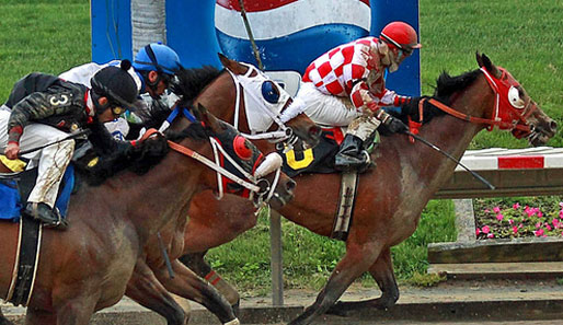 Ingesamt neun Rennen warten heute im Delaware Park Racetrack auf die Zuschauer