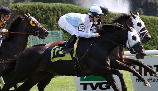 Zehn Rennen stehen auf der Karte auf dem Saratoga Racecourse