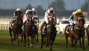 Der Dubai World Cup ist mit zehn Millionen Dollar dotiert