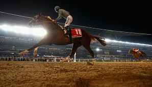 California Chrome siegte beim Dubai World Cup unter Jockey Victor Espinoza