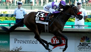 Nyquist hat alle seiner acht Galopp-Rennen gewonnen