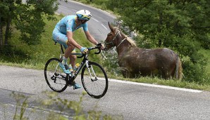 Was einem beim Radfahren alles so begegnen kann...