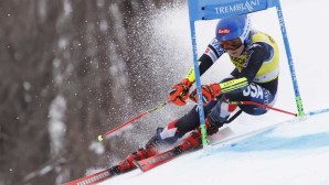 shiffrin-16001