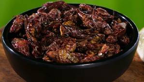 Toasted Grasshoppers mit Chili-Limetten-Salz: Wer's exotisch mag, ist in Seattle gut aufgehoben. Bei den Mariners kann man sich geröstete Grashüpfer reinziehen. Yummy!