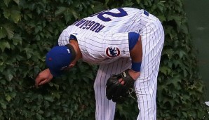 Das Efeu im Outfield der Cubs kommt zu den Fans nach Hause - für einen stolzen Preis