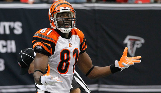 Terrell Owens von den Cincinnati Bengals hat sich das Kreuzband gerissen